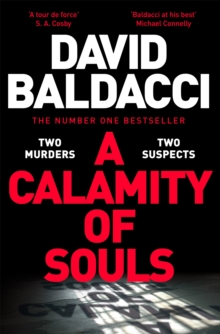 A Calamity of Souls : The brand new novel from the number one bestselling author of Simply Lies