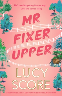 Mr Fixer Upper : the new romance from the bestselling Tiktok sensation!