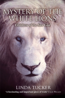 Mystery of the White Lions : Children of the Sun God, Paperback Book Mystery of the White Lions : Children of the Sun God, Paperback Book