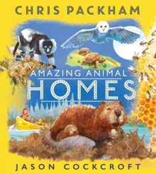 Amazing Animal Homes, Paperback / softback Book Amazing Animal Homes, Paperback / softback Book