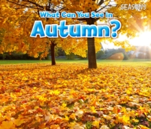 What Can You See In Autumn?, Paperback / softback Book What Can You See In Autumn?, Paperback / softback Book
