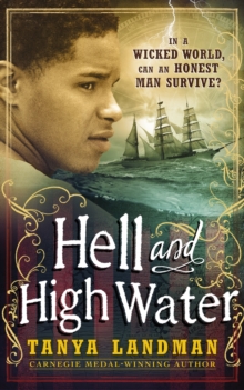 Hell and High Water, Hardback Book Hell and High Water, Hardback Book