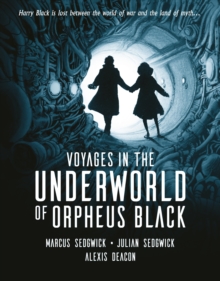 Voyages in the Underworld of Orpheus Black, Hardback Book Voyages in the Underworld of Orpheus Black, Hardback Book