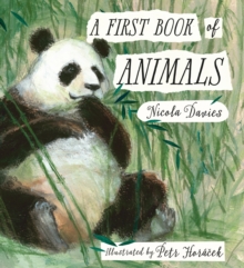 A First Book of Animals, Hardback Book A First Book of Animals, Hardback Book