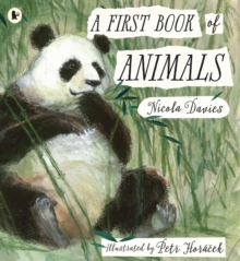 A First Book of Animals, Paperback / softback Book A First Book of Animals, Paperback / softback Book