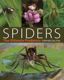 Spiders : The Ultimate Predators, Hardback Book Spiders : The Ultimate Predators, Hardback Book