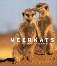 Meerkats, Hardback Book Meerkats, Hardback Book