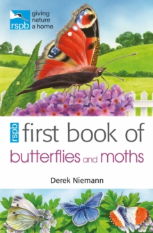 RSPB First Book of Butterflies and Moths, Paperback Book RSPB First Book of Butterflies and Moths, Paperback Book