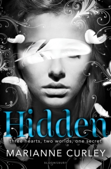 Hidden, Paperback Book Hidden, Paperback Book