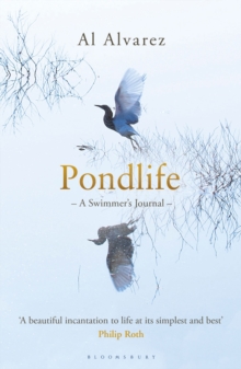Pondlife : A Swimmer's Journal, Paperback Book Pondlife : A Swimmer's Journal, Paperback Book