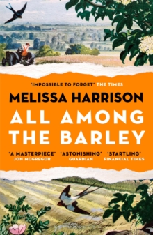 All Among the Barley, Paperback / softback Book All Among the Barley, Paperback / softback Book