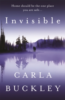 Invisible, Paperback Book Invisible, Paperback Book