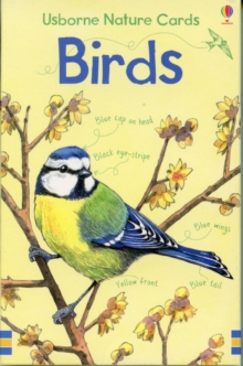 Birds, Cards Book Birds, Cards Book