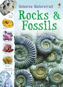 Rocks and Fossils, Paperback Book Rocks and Fossils, Paperback Book