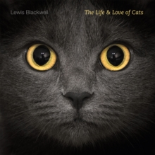 The Life and Love of Cats, Hardback Book The Life and Love of Cats, Hardback Book