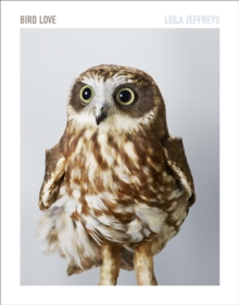 Bird Love, Hardback Book Bird Love, Hardback Book
