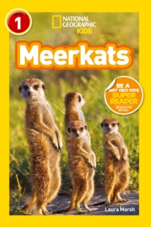 National Geographic Kids Readers: Meerkats, Paperback Book National Geographic Kids Readers: Meerkats, Paperback Book