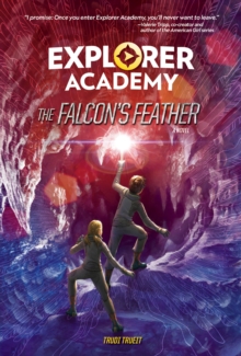 The Falcon's Feather, Hardback Book The Falcon's Feather, Hardback Book