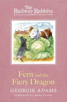 Fern and the Fiery Dragon : Book 7, Paperback Book Fern and the Fiery Dragon : Book 7, Paperback Book