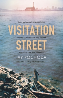 Visitation Street, Paperback Book Visitation Street, Paperback Book