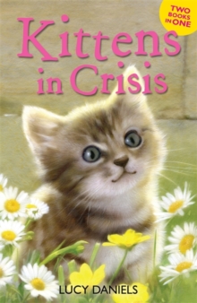 Animal Ark: Kittens in Crisis : Tabby in the Tub & Cats in the Caravan, Paperback Book Animal Ark: Kittens in Crisis : Tabby in the Tub & Cats in the Caravan, Paperback Book