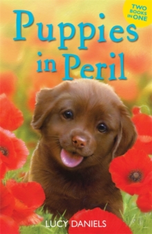Animal Ark: Puppies in Peril : Pup at the Palace & Dog at the Door, Paperback Book Animal Ark: Puppies in Peril : Pup at the Palace & Dog at the Door, Paperback Book