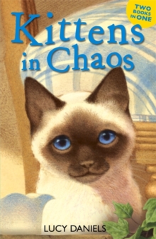 Animal Ark: Kittens in Chaos : Siamese in the Sun & Cat in the Candlelight, Paperback Book Animal Ark: Kittens in Chaos : Siamese in the Sun & Cat in the Candlelight, Paperback Book