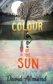 The Colour of the Sun, Paperback / softback Book The Colour of the Sun, Paperback / softback Book