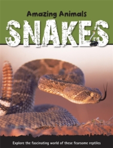 Snakes, Hardback Book Snakes, Hardback Book