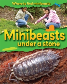 Where to Find Minibeasts: Minibeasts Under a Stone, Paperback Book Where to Find Minibeasts: Minibeasts Under a Stone, Paperback Book