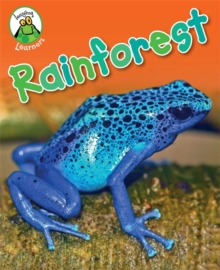 Rainforest, Paperback Book Rainforest, Paperback Book