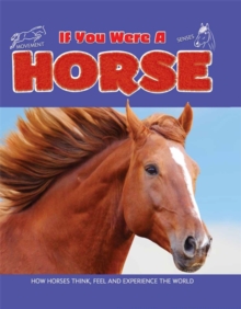 If You Were A: Horse, Hardback Book If You Were A: Horse, Hardback Book