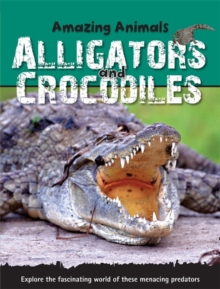 Alligators and Crocodiles, Paperback Book Alligators and Crocodiles, Paperback Book