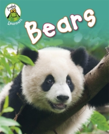 Bears, Hardback Book Bears, Hardback Book