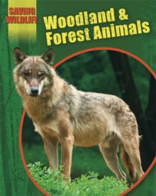 Saving Wildlife: Woodland and Forest Animals, Paperback Book Saving Wildlife: Woodland and Forest Animals, Paperback Book