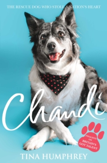 Chandi : The Rescue Dog Who Stole a Nation's Heart, Paperback Book Chandi : The Rescue Dog Who Stole a Nation's Heart, Paperback Book
