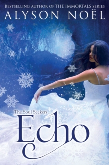 The Soul Seekers: Echo, Paperback Book The Soul Seekers: Echo, Paperback Book