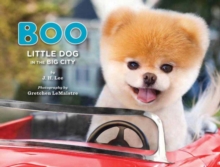 Boo : Little Dog in the Big City, Hardback Book Boo : Little Dog in the Big City, Hardback Book
