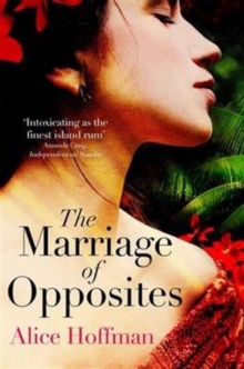 The Marriage of Opposites, Paperback Book The Marriage of Opposites, Paperback Book