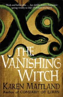 The Vanishing Witch, Paperback Book The Vanishing Witch, Paperback Book