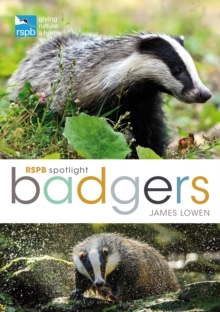 RSPB Spotlight: Badgers, Paperback Book RSPB Spotlight: Badgers, Paperback Book