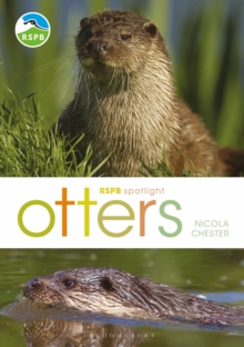 RSPB Spotlight: Otters, Paperback / softback Book RSPB Spotlight: Otters, Paperback / softback Book