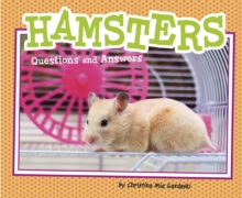 Hamsters : Questions and Answers, Paperback / softback Book Hamsters : Questions and Answers, Paperback / softback Book