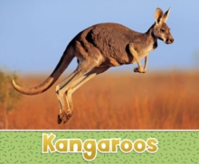 Kangaroos, Paperback / softback Book Kangaroos, Paperback / softback Book