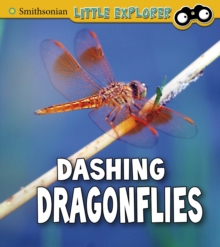 Dashing Dragonflies, Hardback Book Dashing Dragonflies, Hardback Book