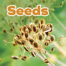Seeds, Hardback Book Seeds, Hardback Book