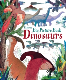 Big Picture Book of Dinosaurs, Hardback Book Big Picture Book of Dinosaurs, Hardback Book