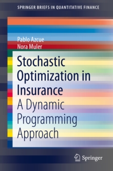 Stochastic Optimization in Insurance : A Dynamic Programming Approach
