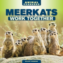 Meerkats Work Together