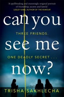 Can You See Me Now?, Paperback / softback Book Can You See Me Now?, Paperback / softback Book